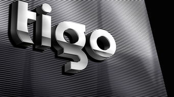 深圳比領設計 為Tigo金泰克科技注入品牌靈魂，打造專業電子產品VI與Logo設計